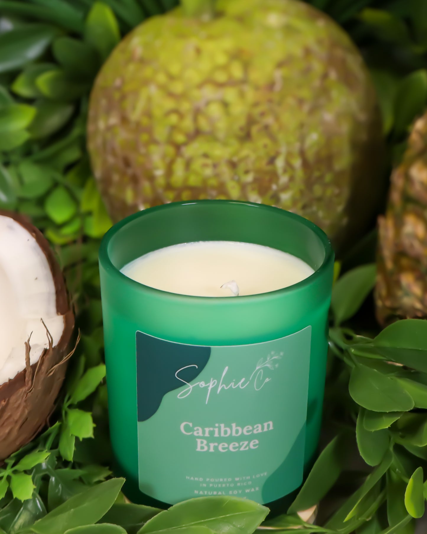 Hand poured soy wax candle labeled 'Caribbean Breeze' by Sophie's on a green leafy background