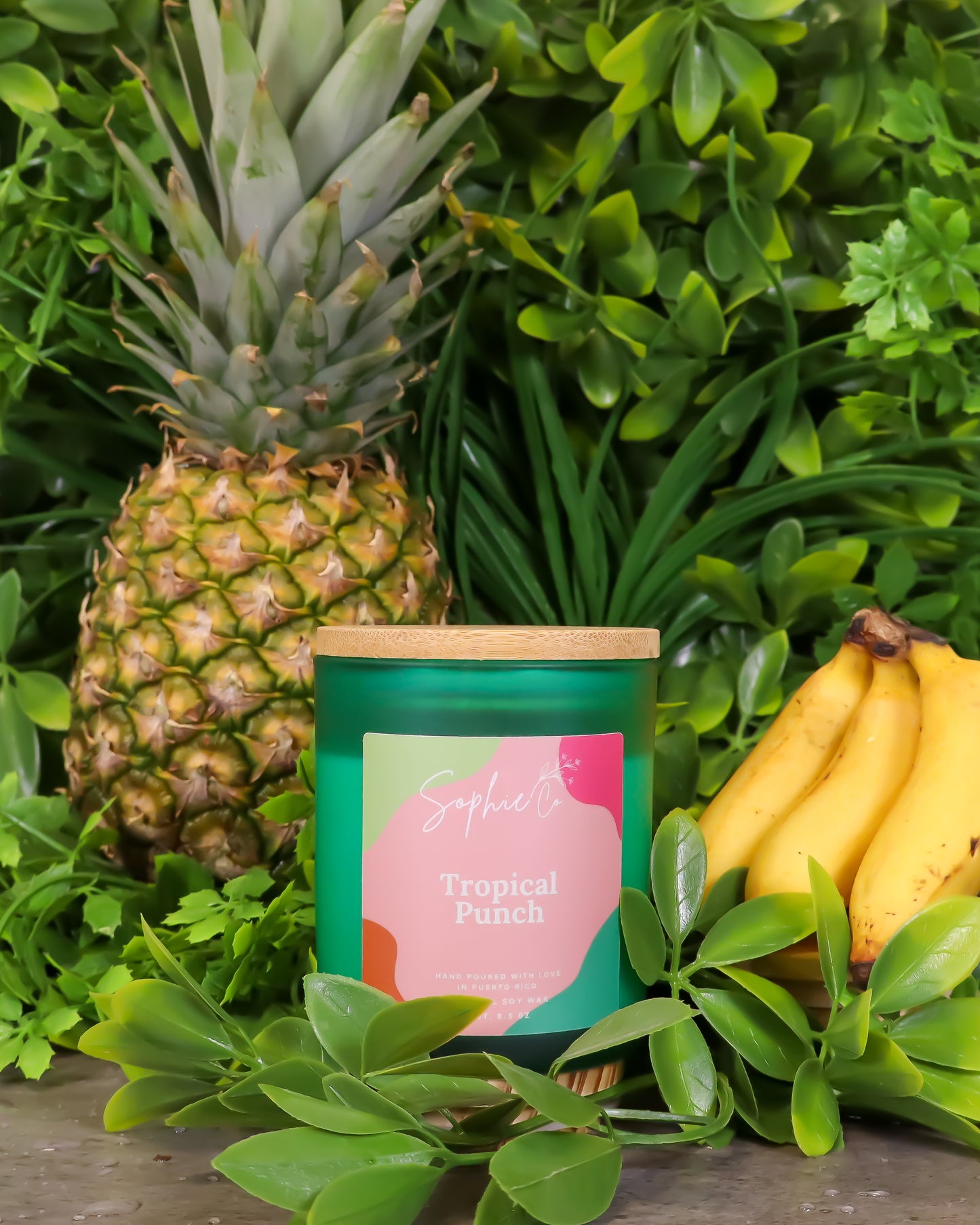 Hand poured soy wqax candle labeled 'Tropical Punch' by Sophie's Co. surrounded by greenery and a pineapple.