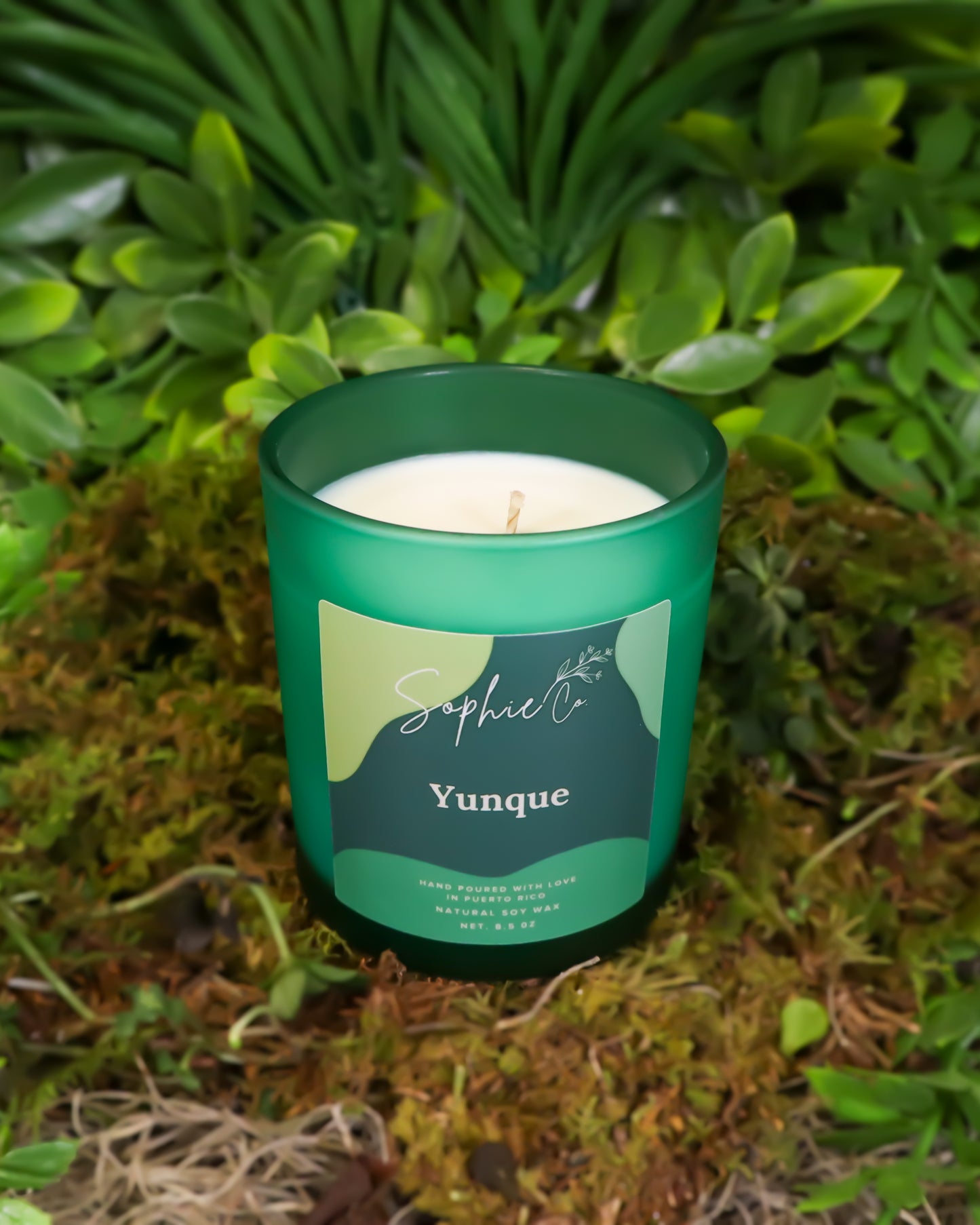 Hand poured soy candle with wooden lid labeled 'Yunque' by Sophie & Co. in a natural setting with greenery.