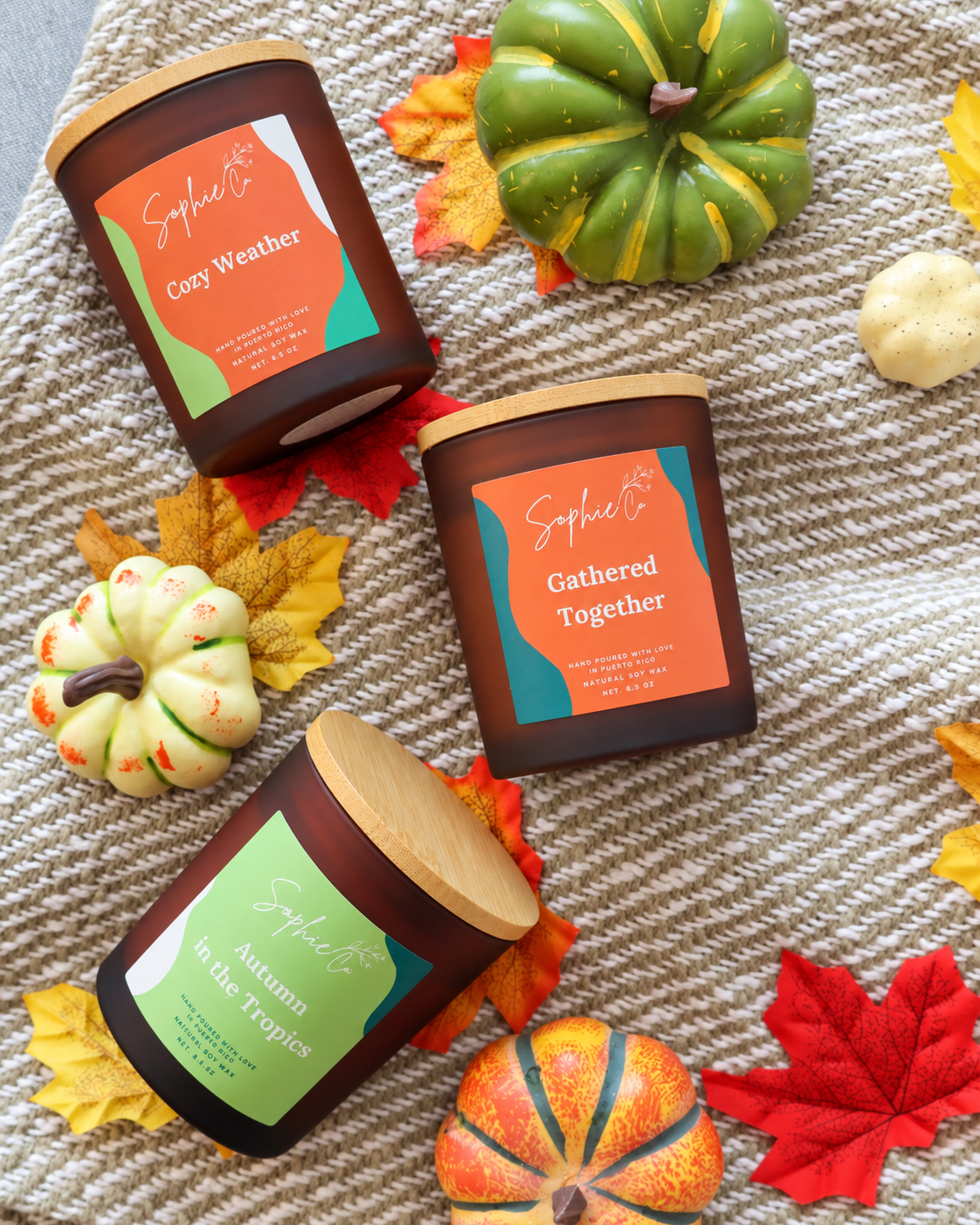 Fall Collection