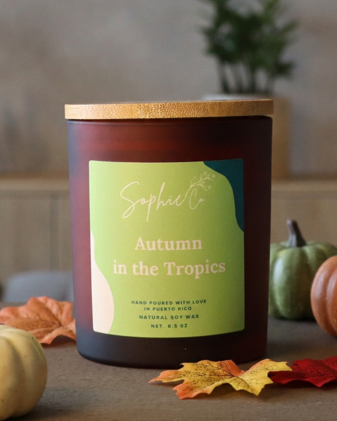 Autumn in the Tropics | Soy Wax Candle