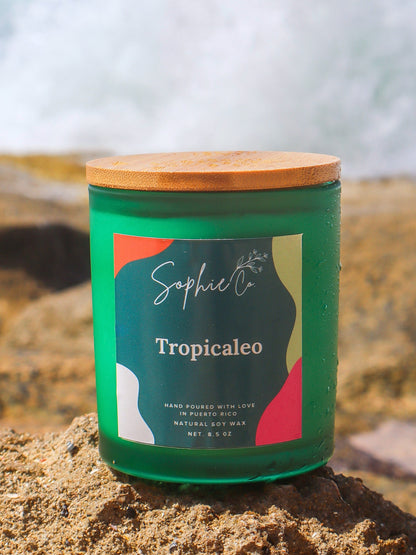 Tropicaleo | Soy Wax Candle