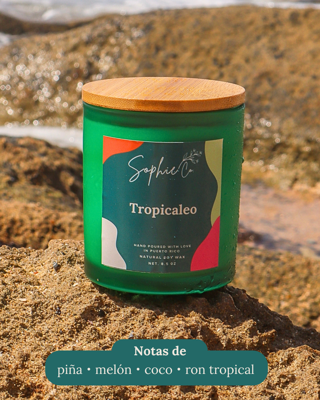 Tropicaleo | Soy Wax Candle