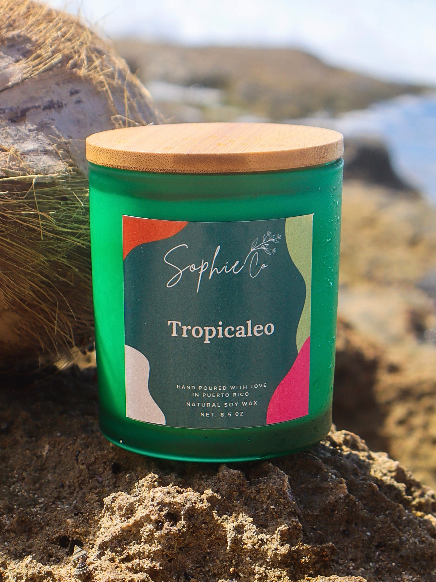 Tropicaleo | Soy Wax Candle