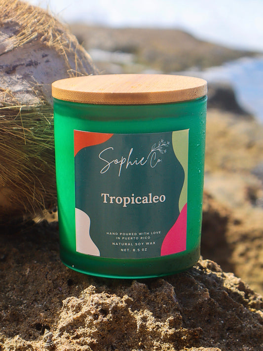 Tropicaleo | Soy Wax Candle
