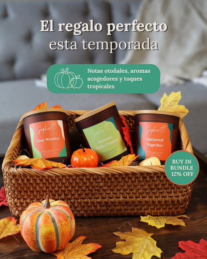 Trío de la colección de otoño