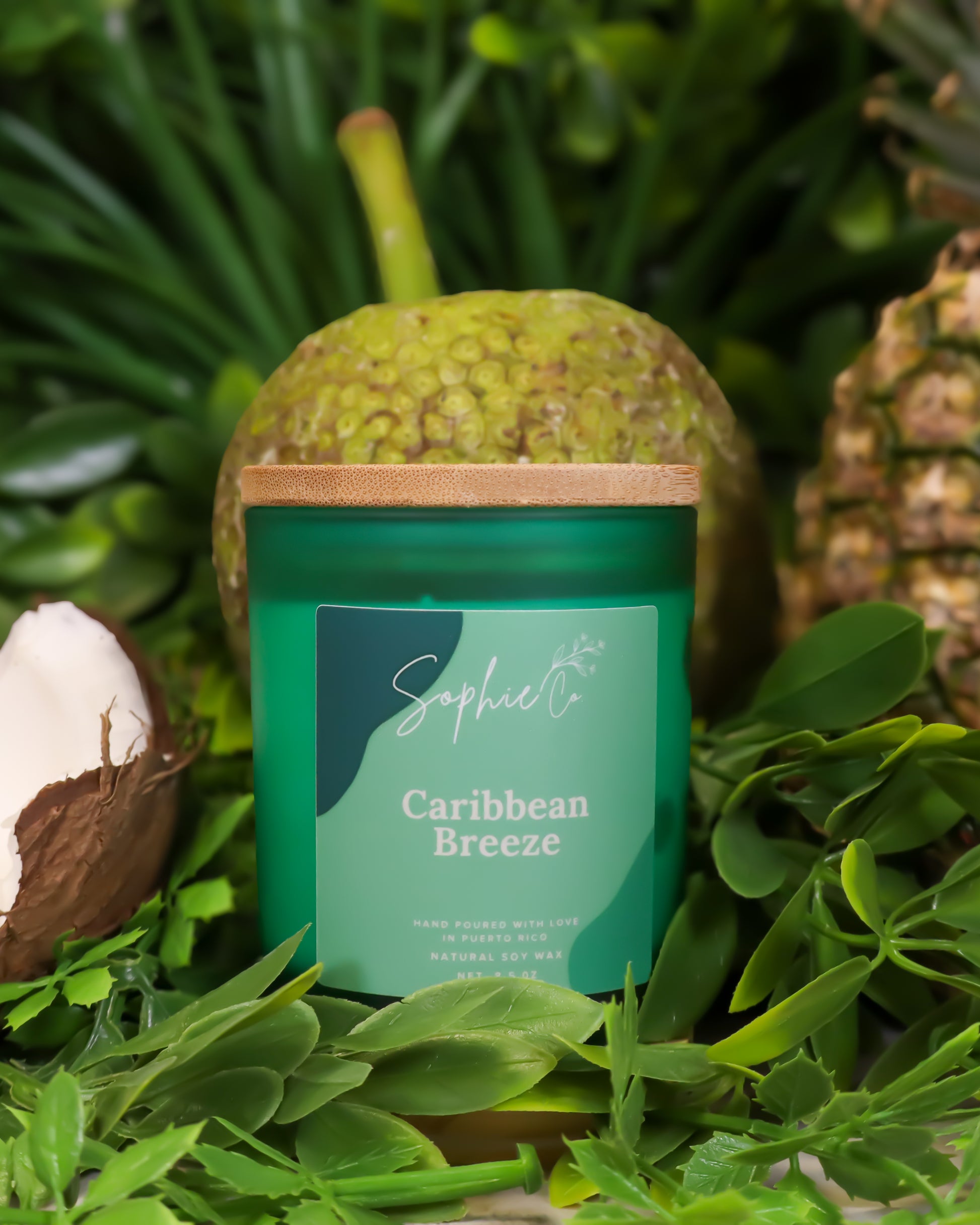 Hand poured soy wax candle labeled 'Caribbean Breeze' by Sophie's on a green leafy background