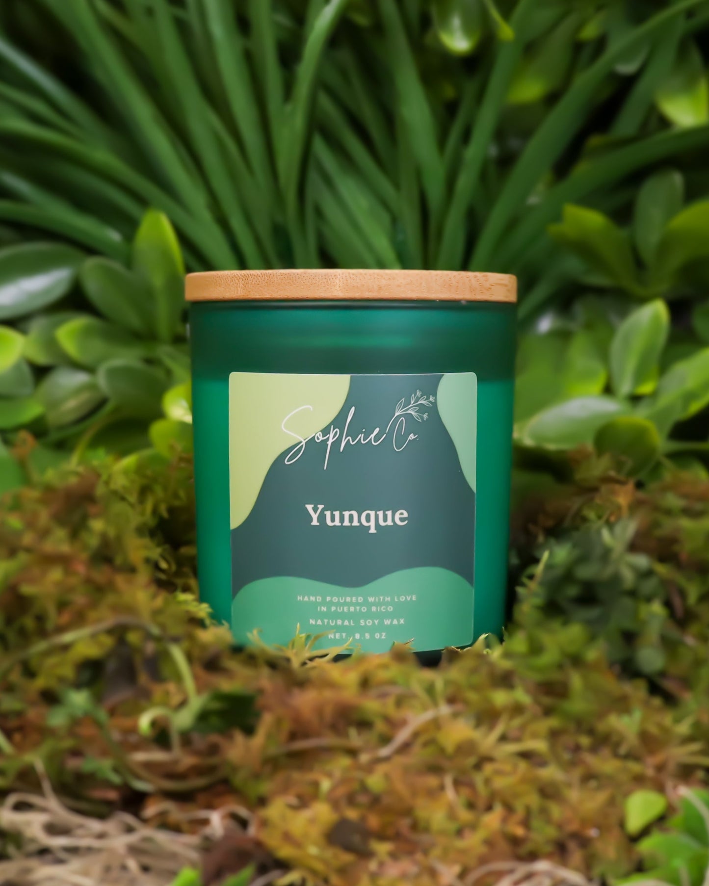 Hand poured soy candle with wooden lid labeled 'Yunque' by Sophie & Co. in a natural setting with greenery.